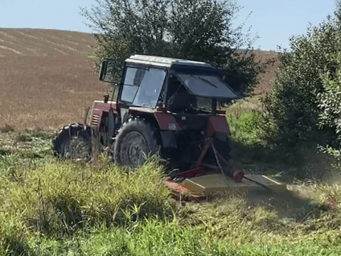 usługi rolnicze traktorem usluga koszenie i mulczowania pól lak i nieużytków foto 2