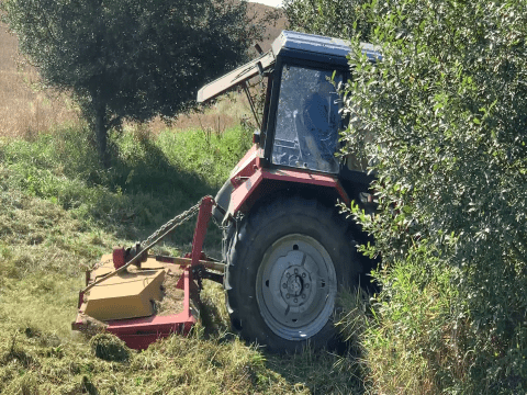 usługi rolnicze traktorem usluga koszenie i mulczowania pól lak i nieużytków foto 5