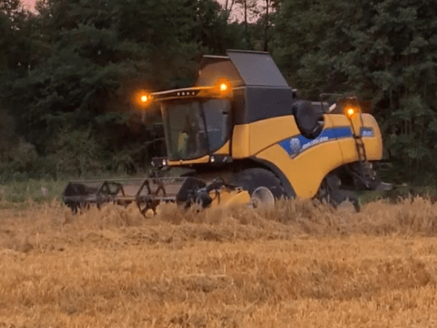uslugi rolnicze rolne kombajnem koszenie trawy nasiennej kombajn
